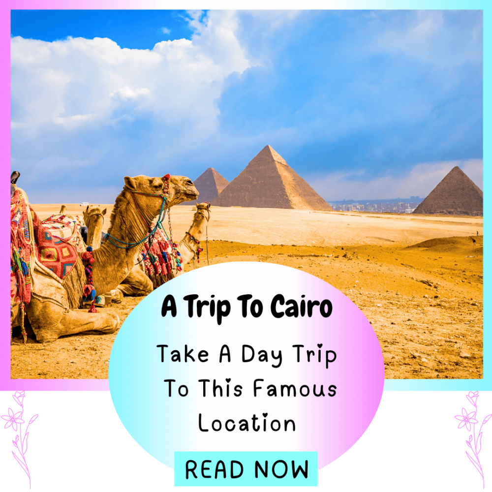 A trip to Cairo. Take a day trip to Cairo to visit this famous location. Everything travel. Forever Living Yes. 