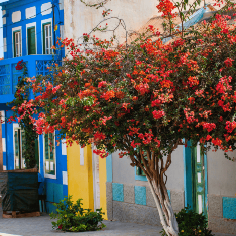 Cape Verde. Africa. Home To 10 Islands. Boa Vista.