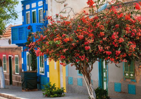 Cape Verde. Africa. Home To 10 Islands. Boa Vista.