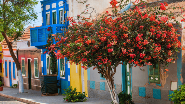 Cape Verde. Africa. Home To 10 Islands. Boa Vista.