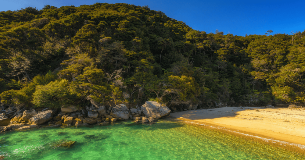 Abel Tasman National Park, Tasman District, New Zealand. Everything travel. Forever Living Yes. Oceania.