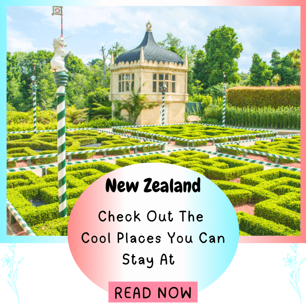 New Zealand. Check out the cool places you can stay at. Oceania. Everything travel. Forever Living Yes.