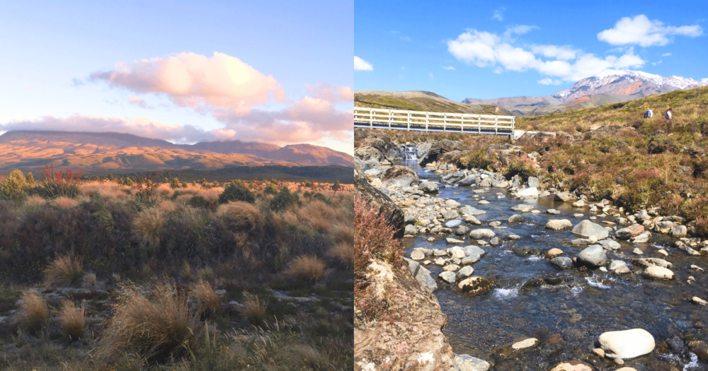 New Zealand mountain views. Scenic, mount tongariro. Everything travel. Forever Living Yes.