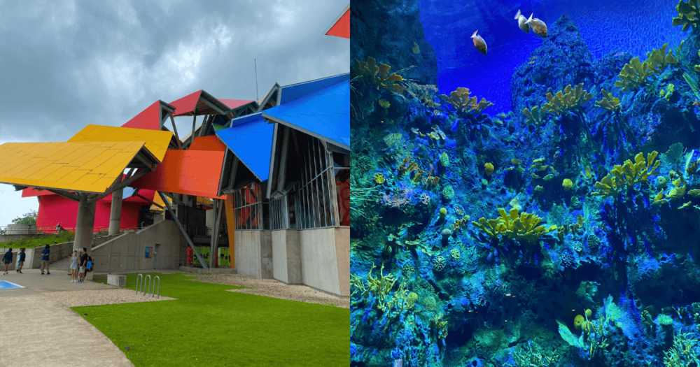 Biomuseum in Panama. This cool attraction in Central America offers a range of marine life. Everything travel. Forever Living Yes.