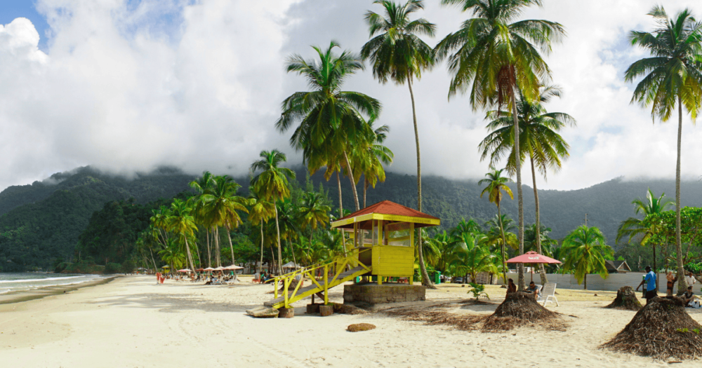 Ocean and Palm Trees at Maracas Beach in Trinidad and Tobago, Caribbean.