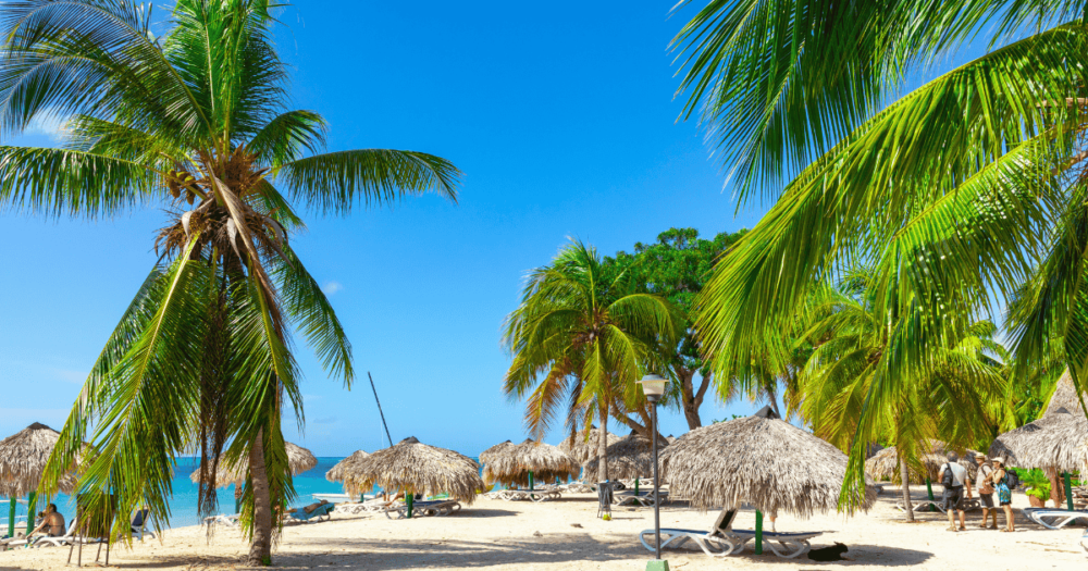 Exotic beaches with coconut trees in Trinidad. The Caribbeans. Travel.