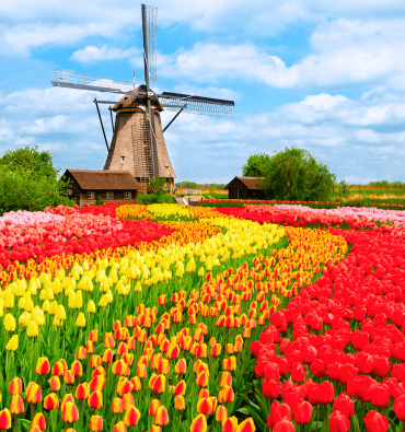 NETHERLANDS